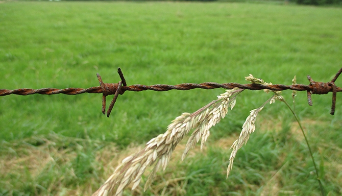 Le bail de petites parcelles